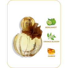 Load image into Gallery viewer, dLIGHTnotes