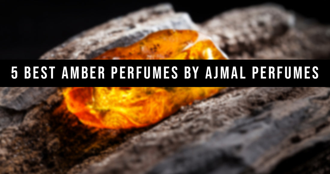 Best Amber Perfumes