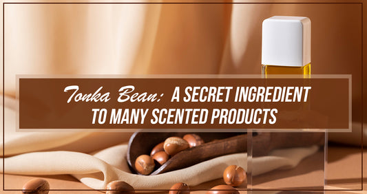 Tonka Bean